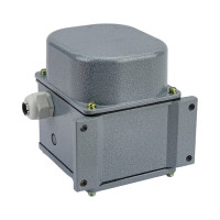 Концевой выключатель TDM ELECTRIC ВУ-250М У2, две коммутационные цепи, IP44 SQ0732-0025