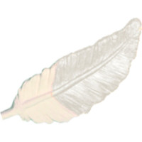 Эмаль перламутровая SAFORA хамелеон ЭМ103/1