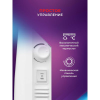 Электрический конвектор Royal Clima  RIBERA Econo REC-RE1000M