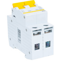 Выключатель автоматический ВА47-29 2p, 25А, С 4.5кА IEK MVA20-2-025-C