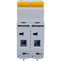 Выключатель автоматический ВА47-29 2p, 25А, С 4.5кА IEK MVA20-2-025-C