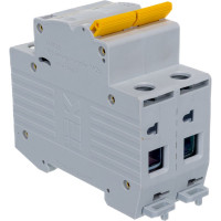 Выключатель автоматический ВА47-29 2p, 25А, С 4.5кА IEK MVA20-2-025-C