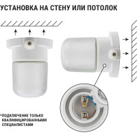 Настенно-потолочный светильник TDM ELECTRIC НПБ400, для сауны, белый, SQ0303-0048