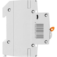 Автоматический выключатель ВА47-29 (1Р; 1 А; 4.5 кА; В) TDM ELECTRIC SQ0206-0001