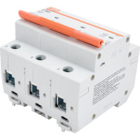 Автоматический выключатель TDM ELECTRIC ВА47-100 3Р 80А 10кА С SQ0207-0076