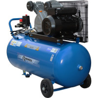 Поршневой компрессор Remeza СБ4/C-100.LB24 A 8087940