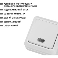 Одноклавишный выключатель TDM ELECTRIC открытой установки с подсветкой, белый Ладога SQ1801-0009