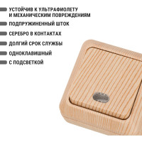 Выключатель TDM ELECTRIC 1-кл. открытой установки с подсветкой IP20 10А, сосна, серия "Ладога" SQ1801-0047