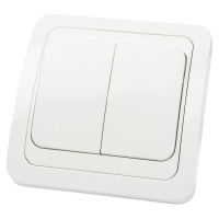 Двухклавишный выключатель TDM ELECTRIC 10А белый Валдай SQ1804-0002