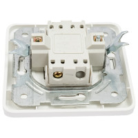 Двухклавишный выключатель TDM ELECTRIC 10А белый Валдай SQ1804-0002