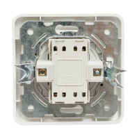 Двухклавишный выключатель TDM ELECTRIC 10А белый Валдай SQ1804-0002