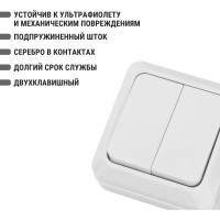 Выключатель TDM ELECTRIC 2-кл. открытой установки IP20 10А, белый серия "Ладога" SQ1801-0003