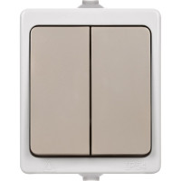 Выключатель TDM ELECTRIC 2-кл. открытой установки IP54 10А "Вуокса" SQ1803-0002