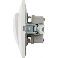 Двухклавишный выключатель TDM ELECTRIC с подсветкой, слоновая кость Таймыр SQ1814-0105