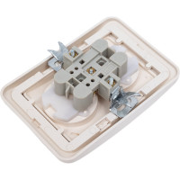 Розетка двойная слоновая кость, с защитными шторками 10А серия "Валдай" TDM ELECTRIC SQ1804-0125