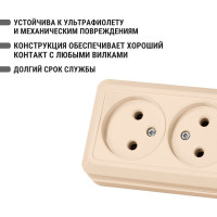 Двойная розетка открытой установки 2П IP20 10А, слоновая кость TDM ELECTRIC Ладога SQ1801-0018