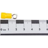 Наконечник TDM ELECTRIC НКИ 5,5-4 кольцо 4-6мм 100шт SQ0502-0007