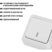 Проходной переключатель TDM ELECTRIC Ладога белый ОП одноклавишный SQ1801-0005