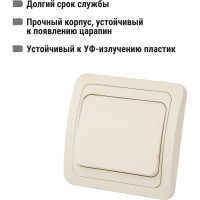 Выключатель слоновая кость 1-клавишный TDM ELECTRIC 10А серия "Валдай" SQ1804-0101
