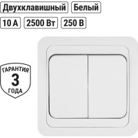 Двухклавишный выключатель TDM ELECTRIC 10А белый Валдай SQ1804-0002