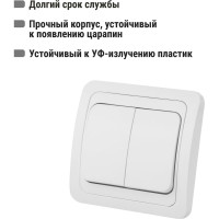 Двухклавишный выключатель TDM ELECTRIC 10А белый Валдай SQ1804-0002