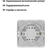Двухклавишный выключатель TDM ELECTRIC 10А белый Валдай SQ1804-0002