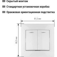 Двухклавишный выключатель TDM ELECTRIC с подсветкой, белый Таймыр SQ1814-0005