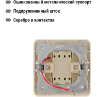 Выключатель слоновая кость 2-клавишный с подсветкой TDM ELECTRIC 10А серия "Валдай" SQ1804-0106