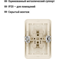 Розетка двойная слоновая кость, с защитными шторками 10А серия "Валдай" TDM ELECTRIC SQ1804-0125