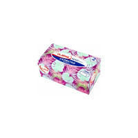 Косметические салфетки LAIMA Everyday 200 штук в картонном боксе двуслойные, 20x20 см 113589