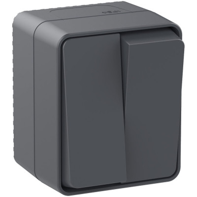 2-клавишный выключатель Systeme Electric AtlasDesign PROFI IP54 открытой установки 10 АХ, антрацит ATN544051