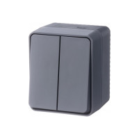 2-клавишный выключатель Systeme Electric AtlasDesign PROFI IP54 открытой установки 10 АХ, антрацит ATN544051