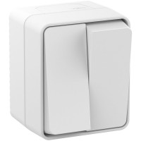 2-клавишный выключатель Systeme Electric AtlasDesign PROFI IP54 открытой установки 10 АХ, белый ATN540151