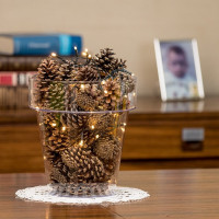 Горшок Teraplast PORTO диам. 20 см, высота 21.5 см, прозрачный 08083020024