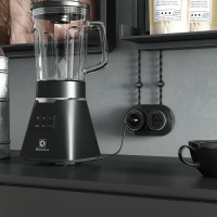 Розетка с заземлением WERKEL W5871051/ Vintage (черный матовый/хром) a055919