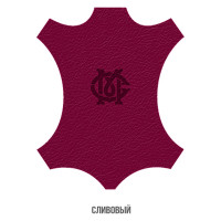 Жидкая кожа для обуви Мастер Сити, 30мл, Сливовый 3102502