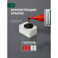 Краска для обуви и кожи Мастер Сити Черный 2184001