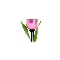 Садовый светильник на солнечной батарее Uniel USL-C-451/PT305 PINK TULIP UL-00004276