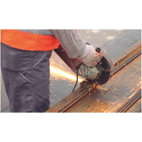 Круг отрезной по нержавеющей стали F41 125х1.6х22.23 мм, E20A46S-BF PRO+ TOROFLEX 4010362100368