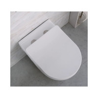 Подвесной унитаз BelBagno LOTO безободковый с сиденьем Soft Close BB070CHR/SC
