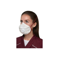 Респиратор АЛИНА АЛИНА-310 20486