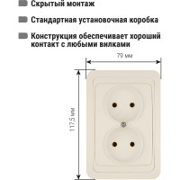 Двойная розетка, слоновая кость 2П 10А TDM ELECTRIC Валдай SQ1804-0109