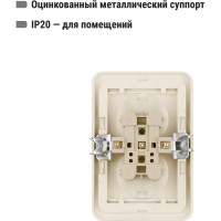 Двойная розетка, слоновая кость 2П 10А TDM ELECTRIC Валдай SQ1804-0109