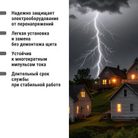Устройство защиты от импульсных перенапряжений (сменный модуль) ОПС1-C TDM ELECTRIC 1P SQ0201-0012