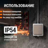 Проходной выключатель TDM ELECTRIC Вуокса ОП одноклавишный IP54 SQ1803-0003