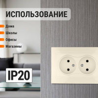 Двойная розетка, слоновая кость 2П 10А 250В TDM ELECTRIC Таймыр SQ1814-0113