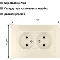 Двойная розетка, слоновая кость 2П 10А 250В TDM ELECTRIC Таймыр SQ1814-0113