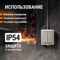 Выключатель TDM ELECTRIC 2-кл. открытой установки IP54 10А "Вуокса" SQ1803-0002