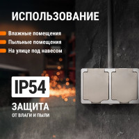 Двойная розетка горизонтальная открытой установки 2П+3 IP54 16А TDM ELECTRIC Вуокса SQ1803-0008