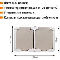 Двойная розетка горизонтальная открытой установки 2П+3 IP54 16А TDM ELECTRIC Вуокса SQ1803-0008